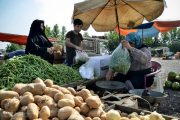 به دستور استاندار؛ تعداد روزهای بازار هفتگی بوشهر با هدف کاهش قیمت ها به سه روز افزایش یافت