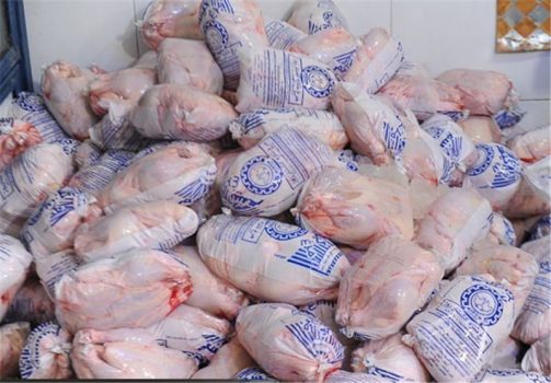 واکنش شرکت پشتیبانی امور دام استان بوشهر به ماجرای توزیع مرغ تاریخ گذشته در تنگستان
