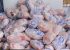 واکنش شرکت پشتیبانی امور دام استان بوشهر به ماجرای توزیع مرغ تاریخ گذشته در تنگستان