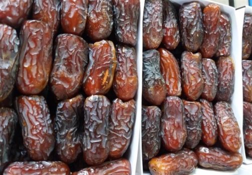 ۸۰ هزار تن خرما شرکتهای بستهبندی استان بوشهر به فروش نرسیده است
