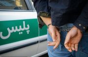 مالخر خودرو سرقتی در دشتستان دستگیر شد