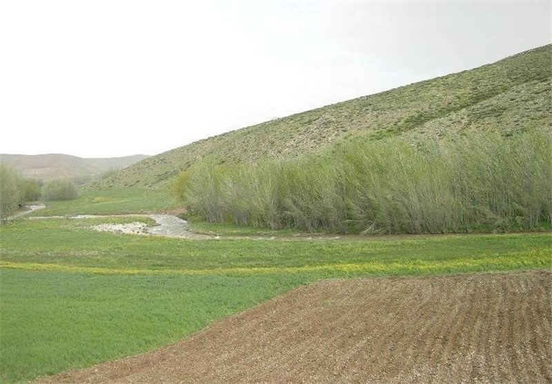 اراضی ملی استان بوشهر به کشاورزی و صنعتی تبدیل می‌شود