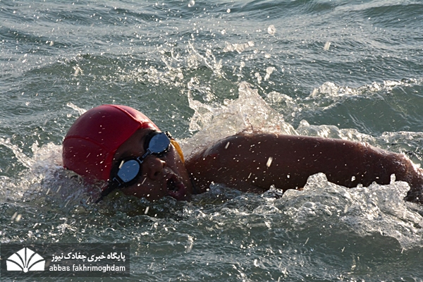 مسابقه شنا ویژه آقایان  در بوشهر برگزار شد