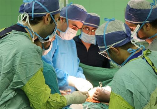 اعضای ۱۵ بیمار مرگ مغزی در استان بوشهر اهدا شد