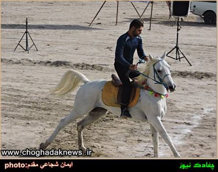 مسابقات اسب دوانی کورس پائیزه استان بوشهر در روستای دویره برگزار شد+تصویر
