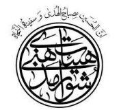 حماسه ۹ دی روز خروش ملت ایران در برابر اهانت ها و حرمت شکنی ها است