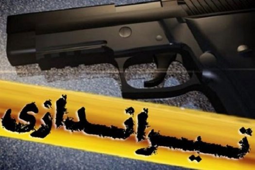 عامل تیراندازی در دشتستان دستگیر شد