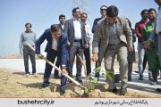برنامه‌های هفته درختکاری و استقبال از بهار در بوشهر+ تصاویر