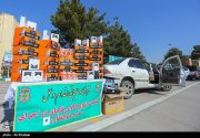 ۱۰۰۰ دستگاه خودروی حامل کالای قاچاق در دشتستان توقیف شد