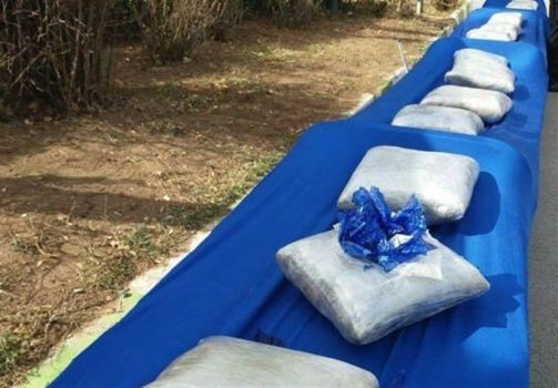 ۱۶.۵ تن مواد مخدر در استان بوشهر کشف شد