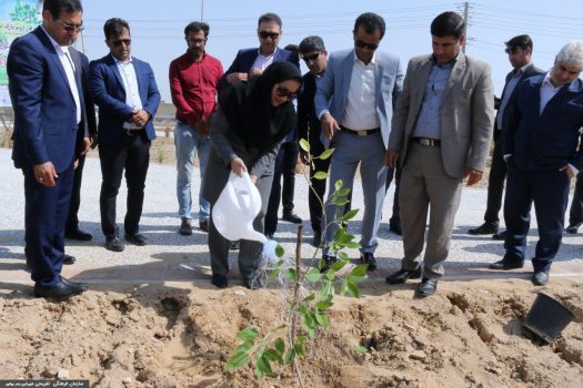 کاشت ۲۰۰۰ اصله نهال نارنج در بوشهر
