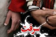 کشف ۶ فقره سرقت و دستگیری ۲ نفر سارق در گناوه