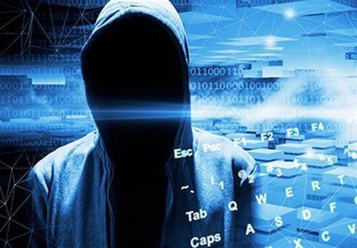 ۹۲ درصد جرایم سایبری در استان بوشهر کشف میشود