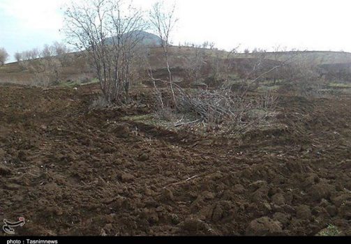 کشف زمینخواری به ارزش بیش از ۲.۹ میلیارد ریال در کنگان