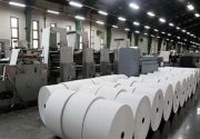 راه‌ندازی کارخانه تولید کاغذ از سنگ‌آهک در شهرستان دشتی