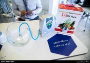 نمایشگاه و جشنواره محصولات فناوری استان بوشهر برگزار می‌شود