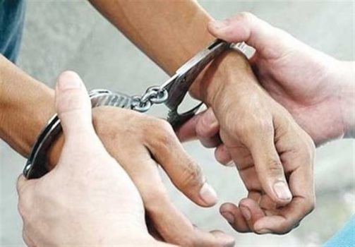 ۶۸ درصد سرقت‌های دشتی کشف شد