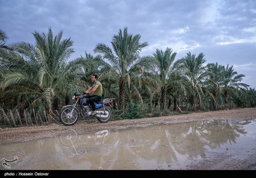 هواشناسی امروز ۲۰آبان/ رگبار، رعدوبرق و آبگرفتگی معابر عمومی ۶ استان را فرا میگیرد