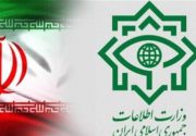 انهدام شبکه مفسدان ارز دولتی توسط وزارت اطلاعات/ ۱۱ نفر بازداشت شدند