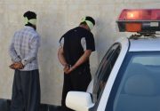 باندهای سرقت در استان بوشهر متلاشی شدند