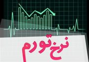 نرخ تورم ۲۰درصد شد