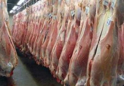 توزیع گسترده گوشت قرمز ۲۹ و ۴۰ هزار تومانی در روزهای آینده