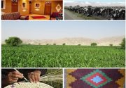 ۱۴۸ میلیارد تومان وام اشتغال روستایی در استان بوشهر پرداخت شد
