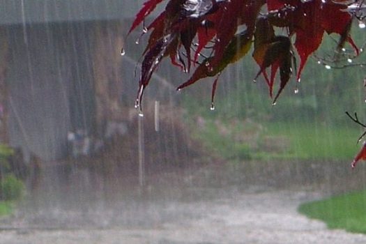 آسمان استان بوشهر بارانی می‌شود/ احتمال سیل و آبگرفتگی معابر