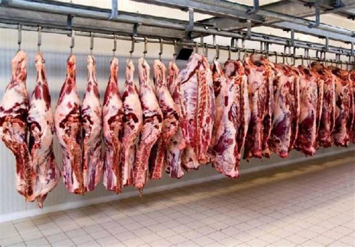 پشت صحنه گرانی گوشت از زبان مدیر اسبق اتحادیه دامداران/افزایش قیمت گوشت طبیعی است ولی نه تا ۱۲۰ هزار تومان