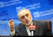 صالحی:اگر طرف‌های متعهد در بازطراحی رآکتور اراک وقت‌کشی کنند ایران خود کار را جلو می‌برد