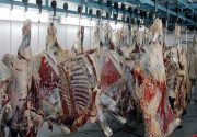 روزانه ۱۵۰ تن گوشت قرمز توسط ۱۲۰ شرکت به کشور وارد می‌شود