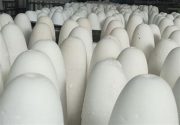 شکر گران تر از کیلویی ۴۲۰۰ تومان نخرید