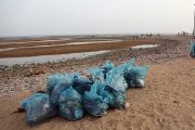 جزایر استان بوشهر پاکسازی می‌شوند/ جمع‌آوری پسماندهای رها شده