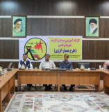 طرح همیار برق در استان بوشهر اجرایی شد