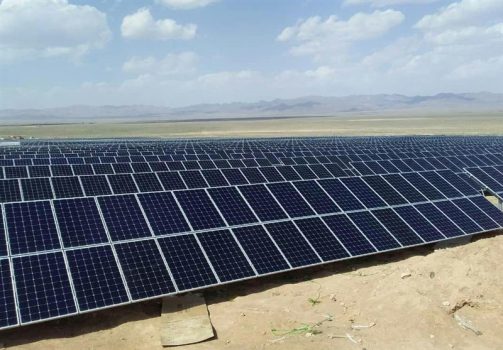بزرگترین نیروگاه خورشیدی جنوب کشور در شهرستان دشتی ساخته میشود
