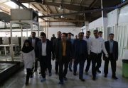 معاون وزیر بهداشت در عسلویه: مشکلات آلایندگی عسلویه برطرف می‌شود