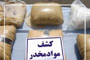 بیش از یک‌تن مواد افیونی در عملیات مشترک کشف شد