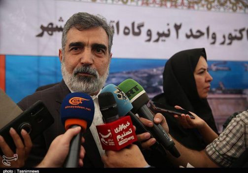 کمالوندی: نیروگاههای دوم و سوم هستهای بوشهر ۳۱۵۰ مگاوات برق تولید میکند