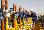 دغدغه تامین سوخت در استان بوشهر با گازکشی برطرف می‌شود
