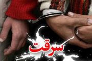 سارق حرفه‌ای در گناوه دستگیر شد