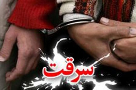 سارق حرفهای در گناوه دستگیر شد
