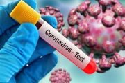 ابتلا و فوت کرونا در گناوه بالا است/ لزوم پرهیز از تجمع غیرضروری