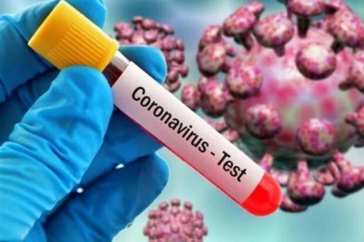 ابتلا و فوت کرونا در گناوه بالا است/ لزوم پرهیز از تجمع غیرضروری