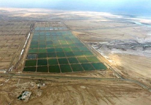 جزئیات افتتاح فاز نخست شهرک شیلاتی استان بوشهر در خردادماه ۱۴۰۰ اعلام شد