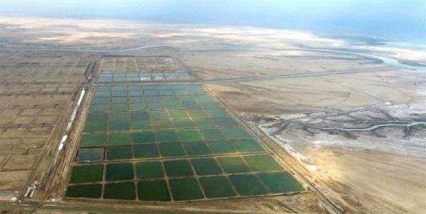 بزرگترین شهرک شیلاتی کشور در گناوه افتتاح میشود