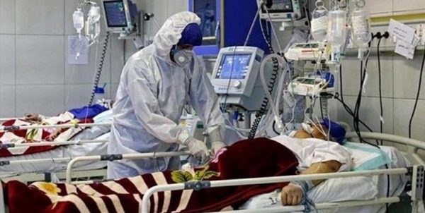بستری ۶۲ بیمار در بخش‌های کرونایی بوشهر