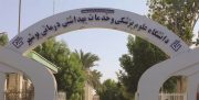مدیریت در بیمارستان قلب بوشهر با مدرک ادبیات نمایشی!