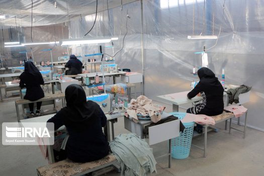 ” هرخانه، یک کارخانه” شعار بانوی کارآفرین برتر بوشهر