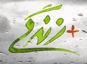 مراکز مثبت زندگی پنجره‌ای واحد برای ارائه خدمات به مددجویان است