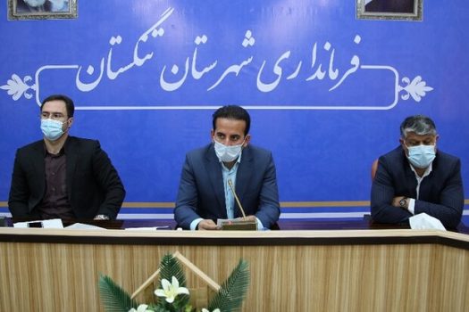 جادههای تنگستان ایمنسازی شوند/ انتقاد از نصب نامناسب سرعتگیرها